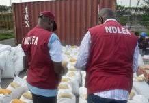 NDLEA arrests 109 suspects, seizes about 1,400 Kgs of illicit drugs in Ekiti